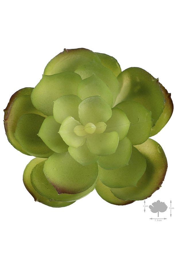 Planta artificiala suculenta model8