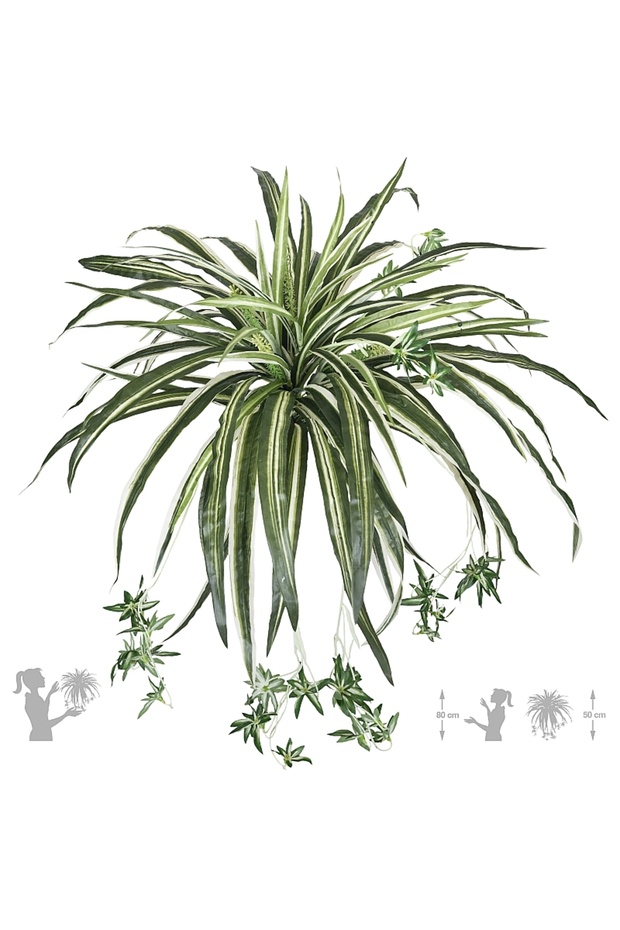 Planta artificiala - Spider