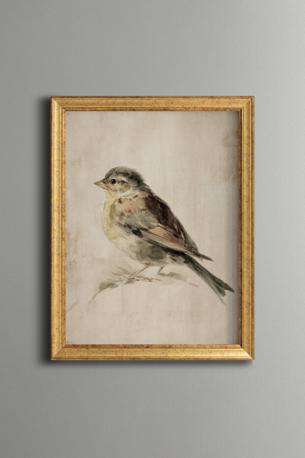 Bird Illustration - Vintage Patterned Frame - Slim Model