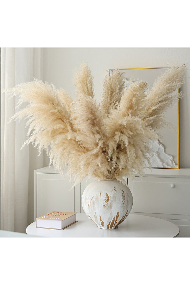 Natural Pampas Grass 5 stems Reed Grass, Dry Plants Tall Pampas Grass for Home ,Office, Weddingm, Farmhouse, Boho Decor