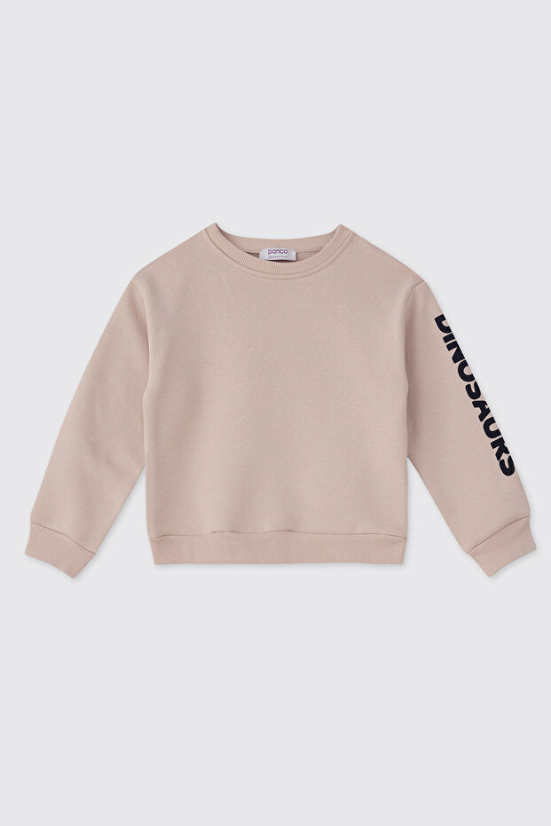 Baby Boy Stone Sweatshirt