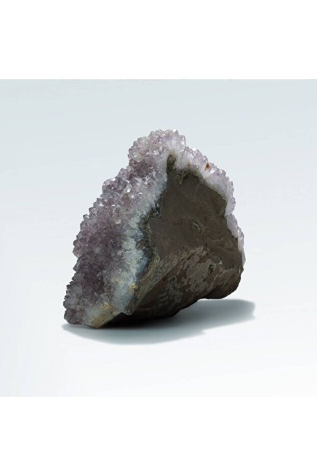اماتيست (LAVENDER ASHES) - 2