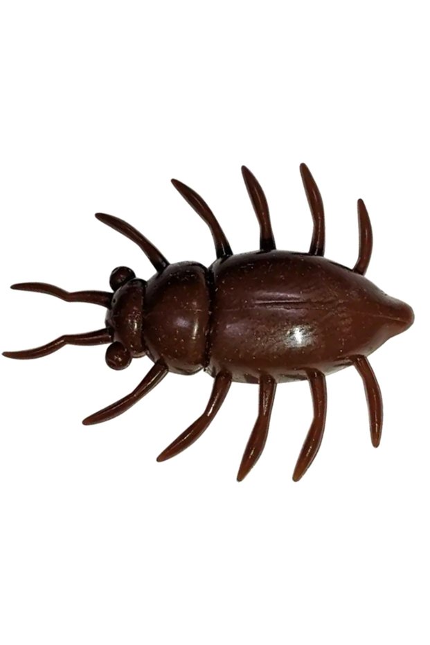 Maybug 3.3cm #012 Chaos 3.3cm #012