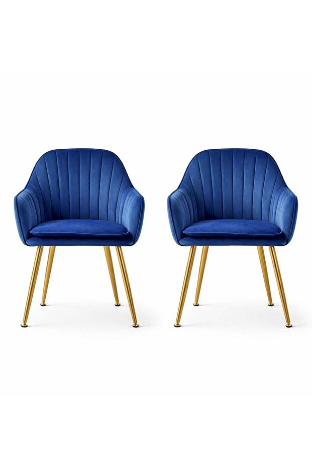Maanys Modern Velvet Dining Chairs (Set of 2)