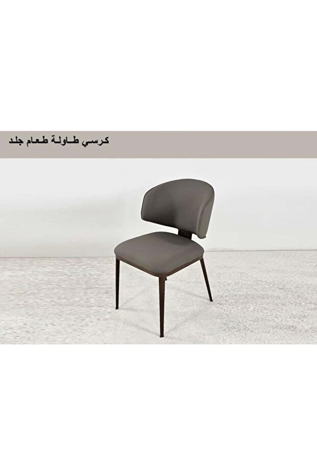 Dining Table Chair - 2
