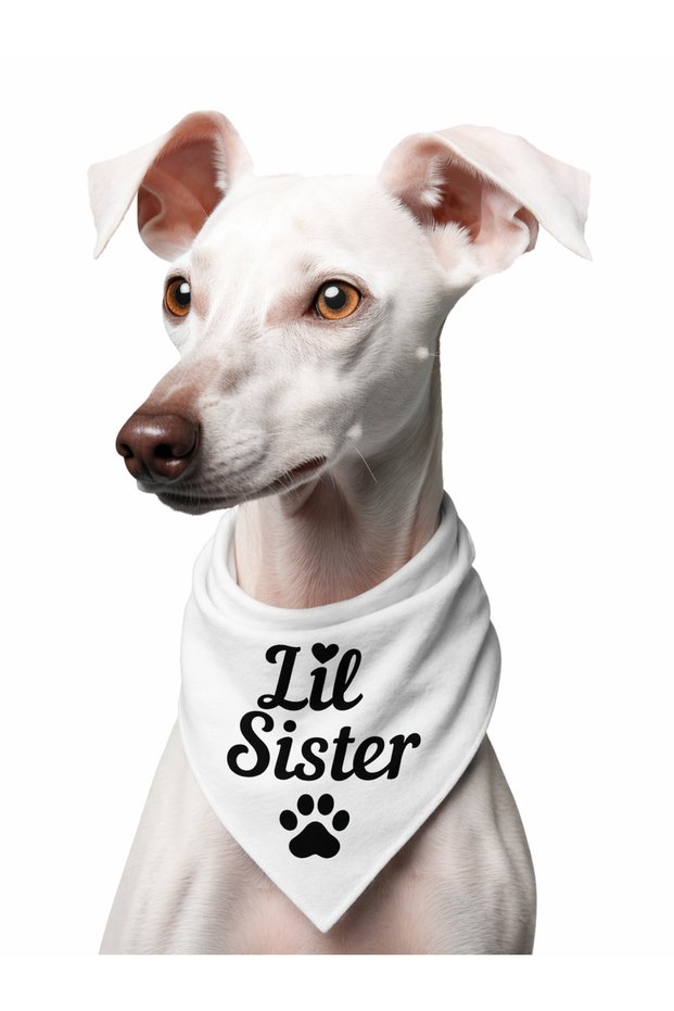 Lil Brother & Lil Sister Written Dog Scarf Bandana