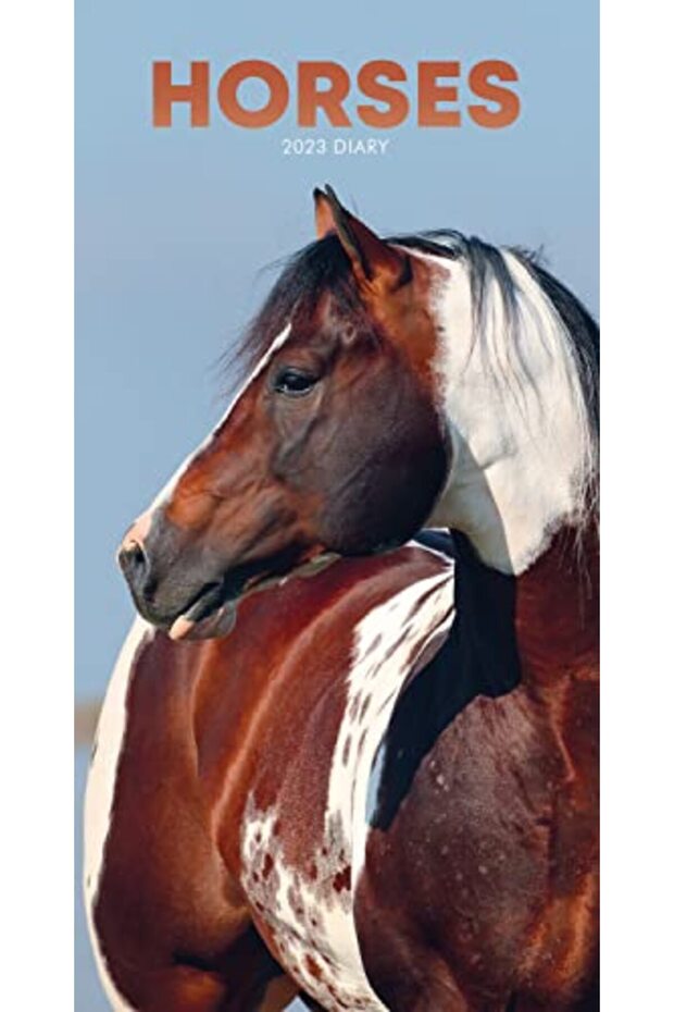 Horses Slim Diary - 1
