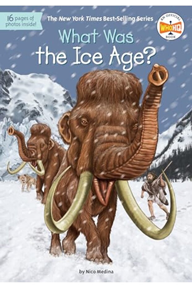 What Was the Ice Age?