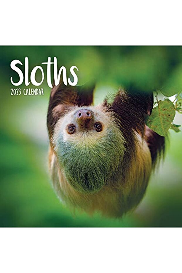 Sloths Mini