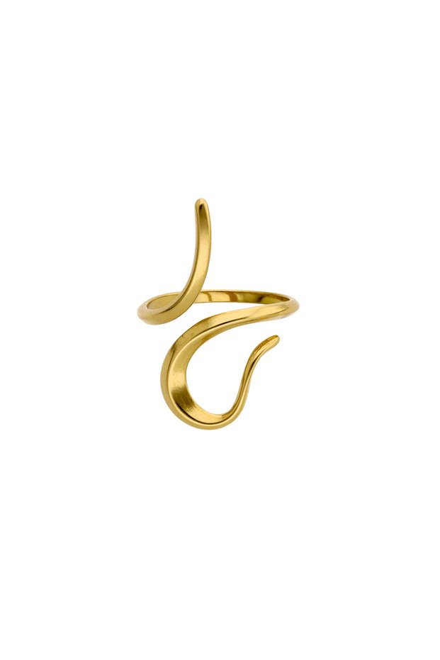 Verstellbarer Ring