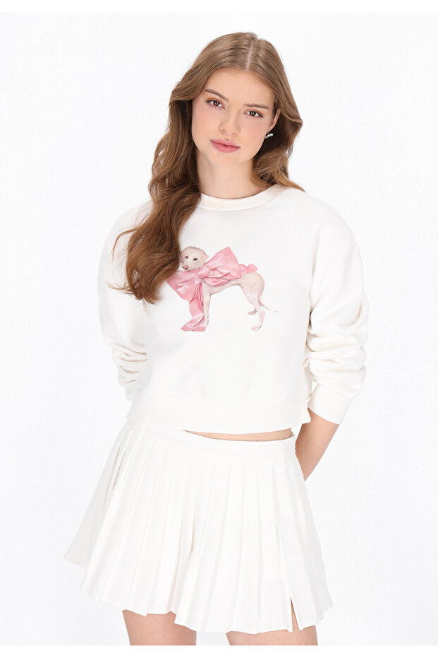 Sweatshirt - 3