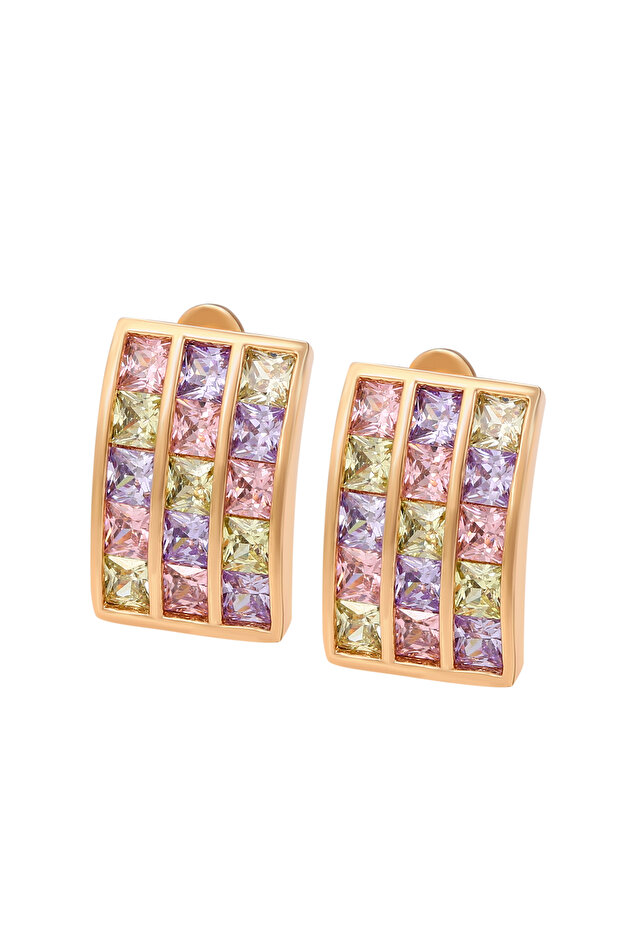 Earrings - 1