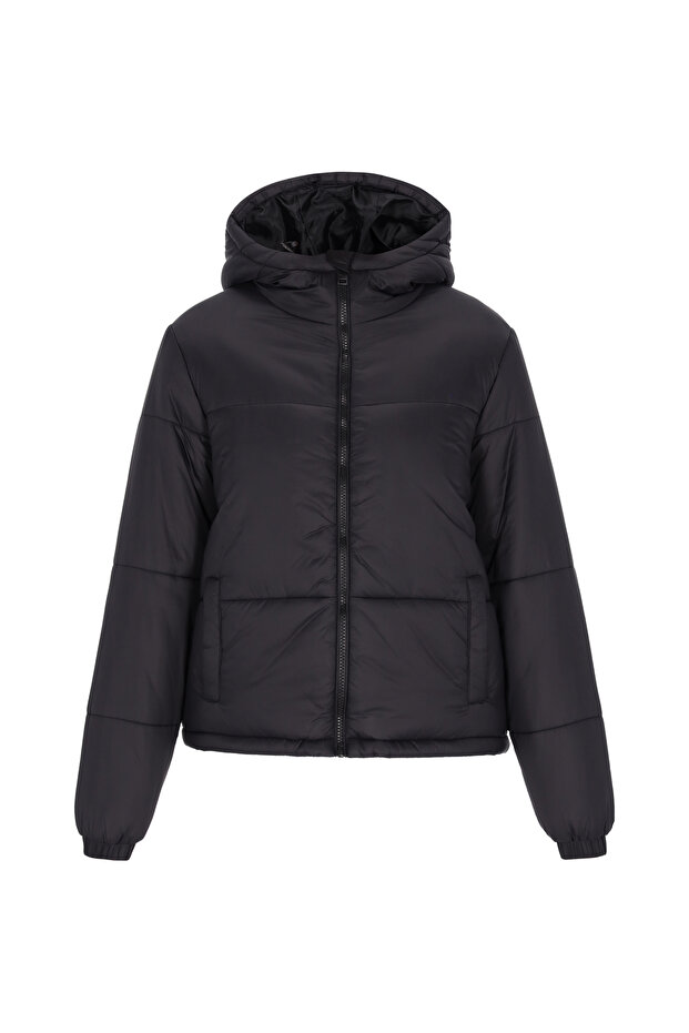 Jacket - 2