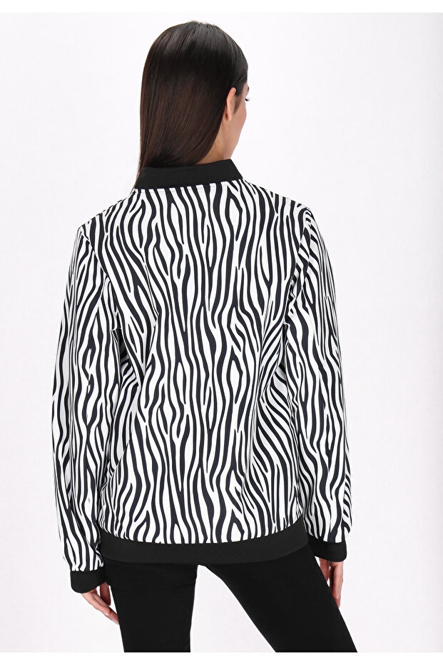 Jacket - 4