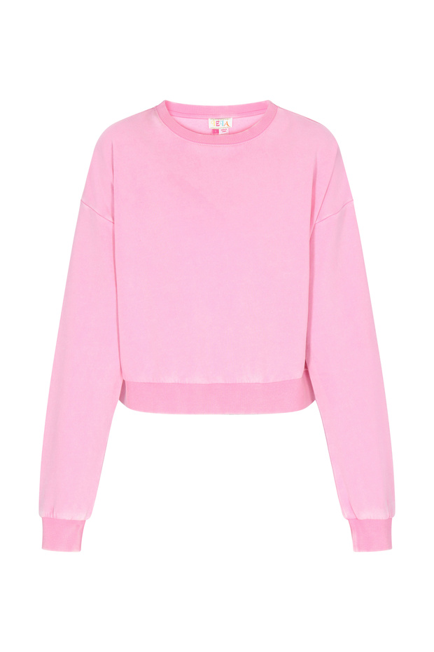 Sweatshirt - 2
