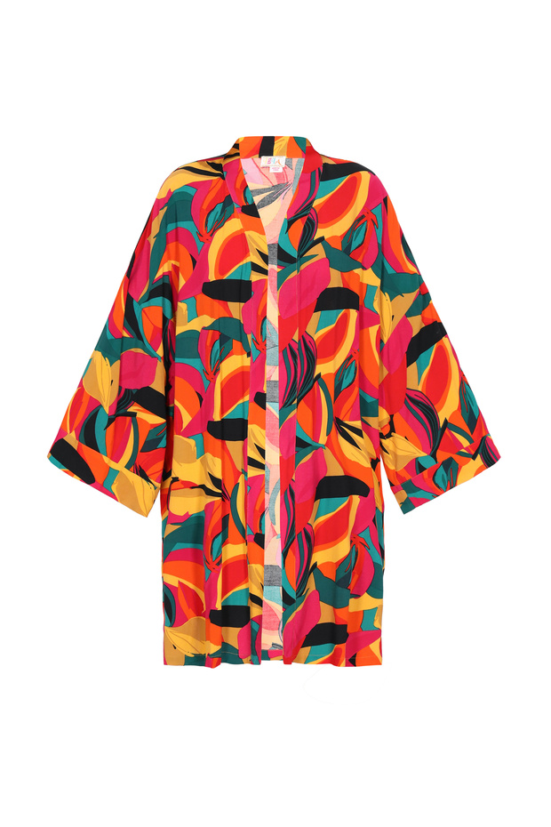 Kimono - 2