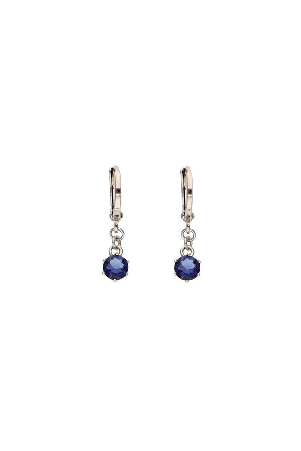 Earrings - 2