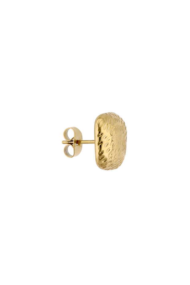 Earrings - 2