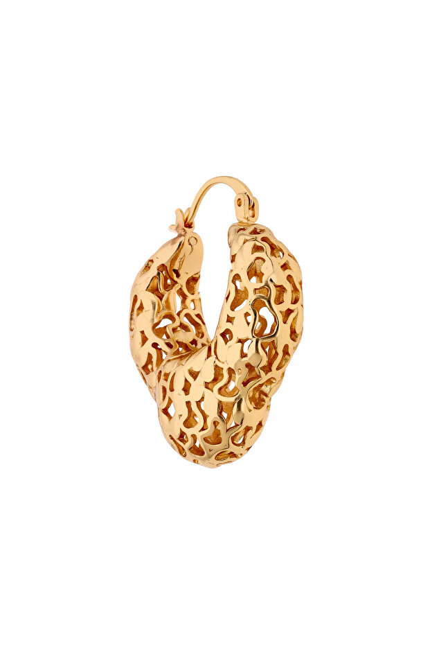 Earrings - 2