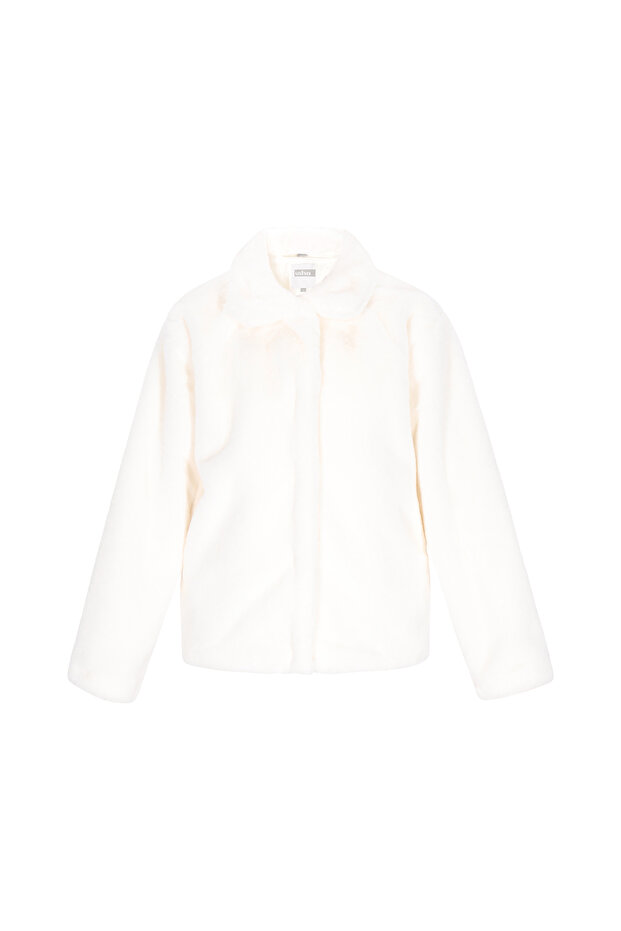Jacket - 2
