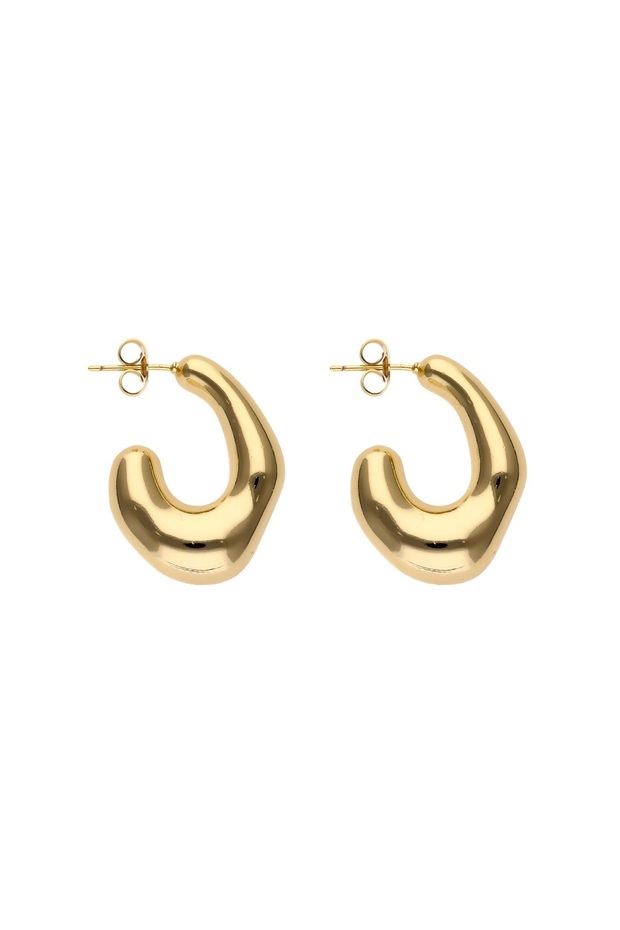 Earrings - 1