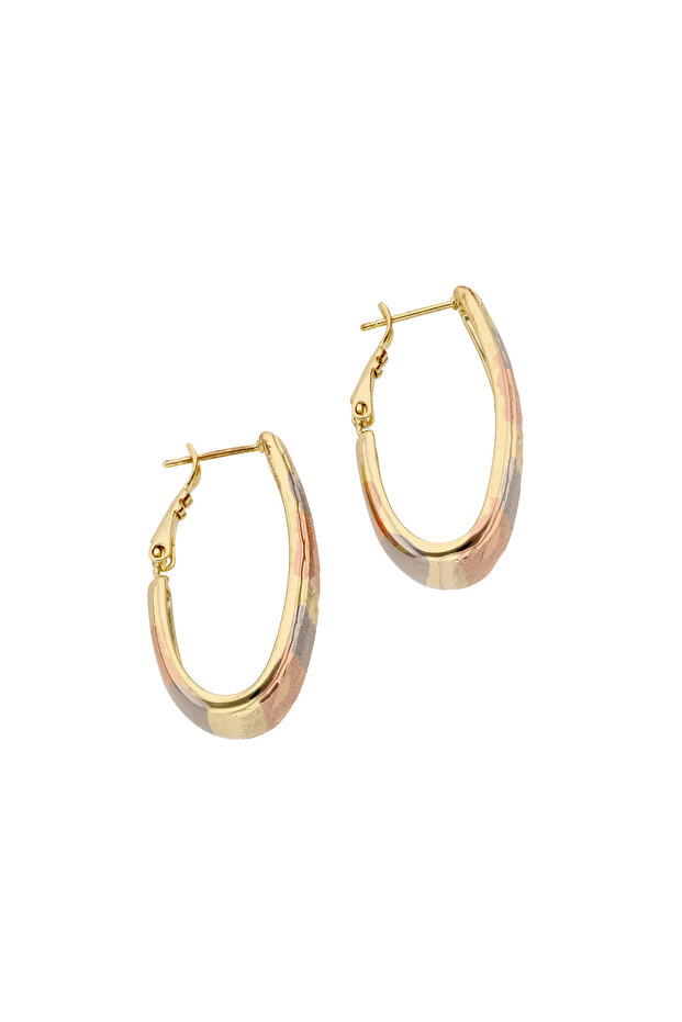 Earrings - 1