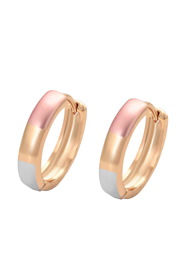 Earrings - 1