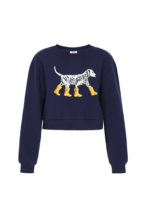 sweatshirt - 2