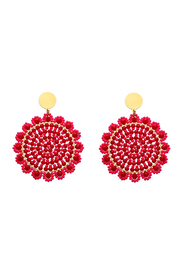 Earrings - 1