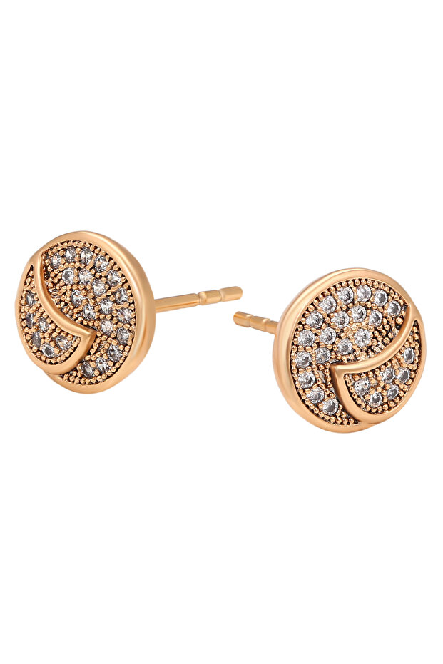 Earrings - 2