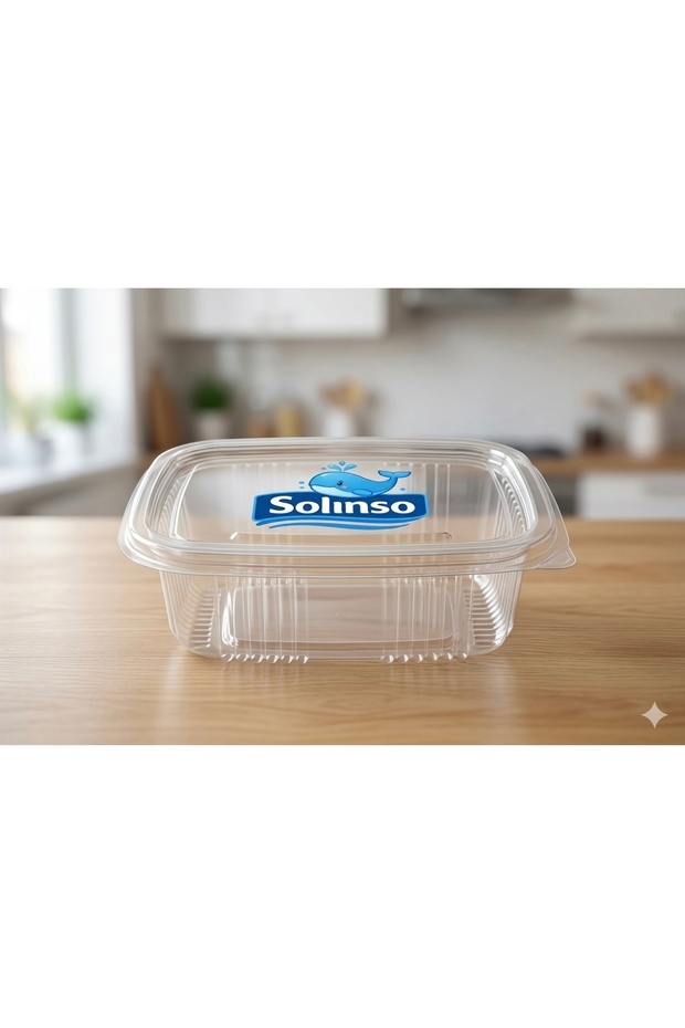 Solinso Plastic Leak-Proof Container 250 Gr Cc Disposable Plastic Bowl with Lid 25 Pieces
