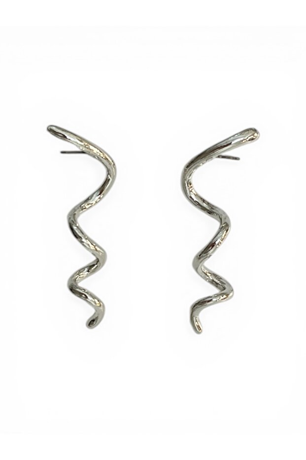 Silver Color Wavy Design Earrings