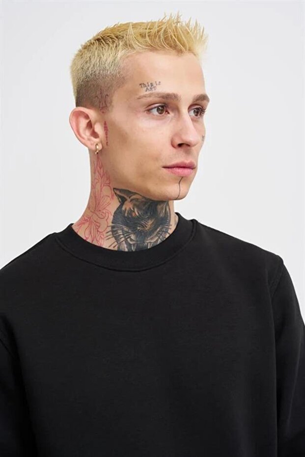 Erkek Regular Bisiklet Yaka Basic Sweatshirt Siyah - 2