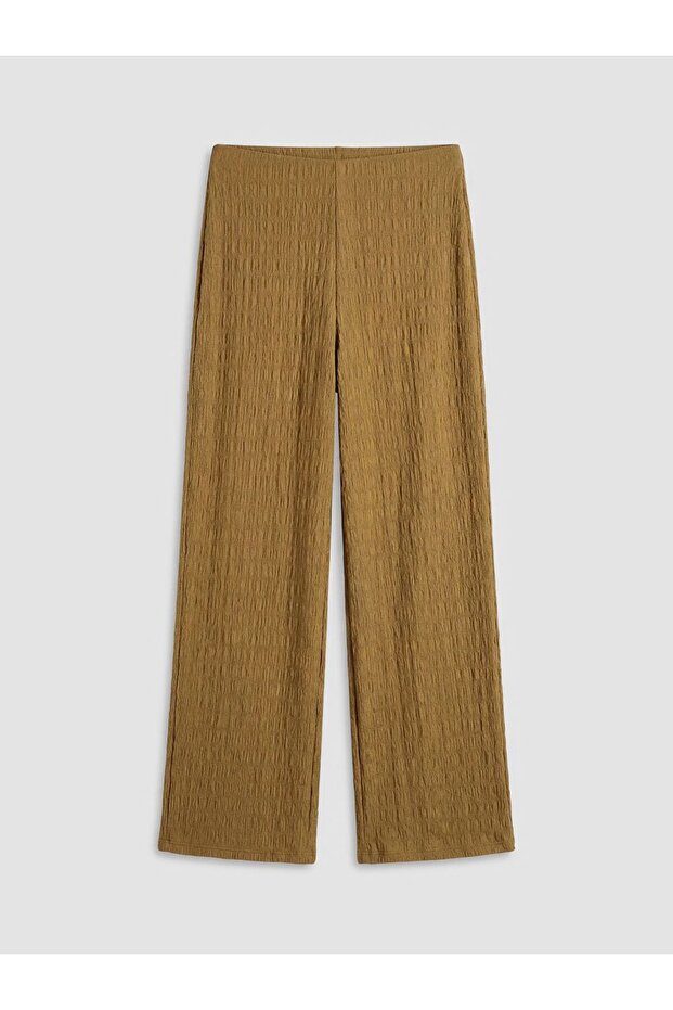 Lcwaikiki Women's Classic Elastic Waist Textured Trousers