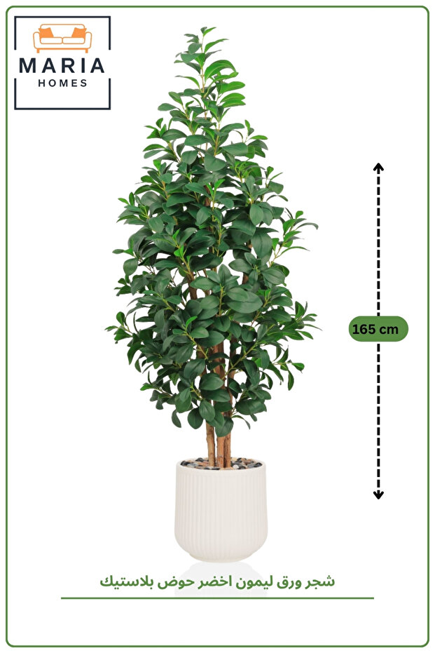 شجرة أوراق الليمون الاصطناعية بطول 165 سم مع وعاء كريمي مضلع - نبات زينة داخلي