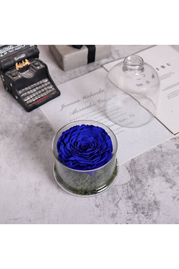 Preserved Blue Rose Dome - 1