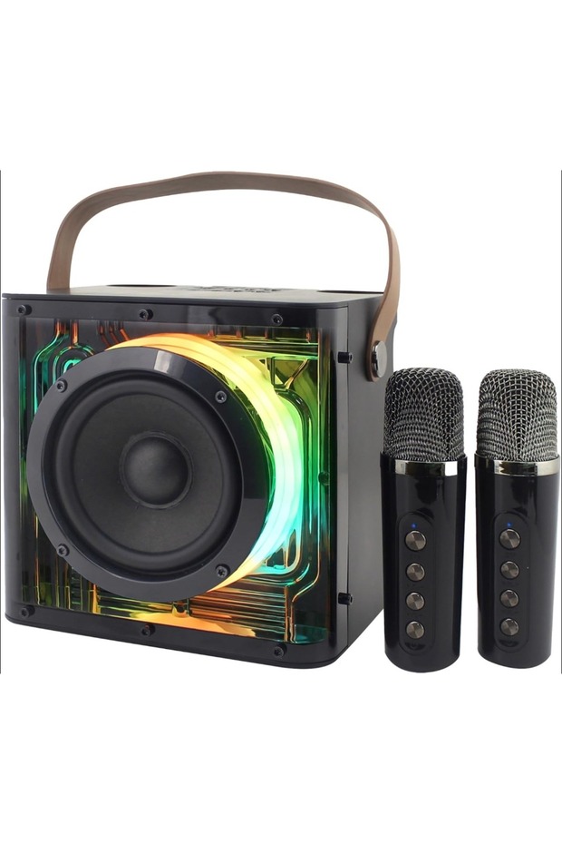 Bluetooth Karaoke Speaker with 2 Mics & LED Lights