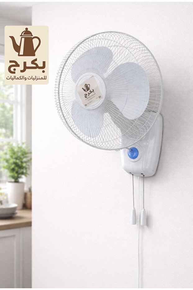 Wall Mounted Electric Fan - 1