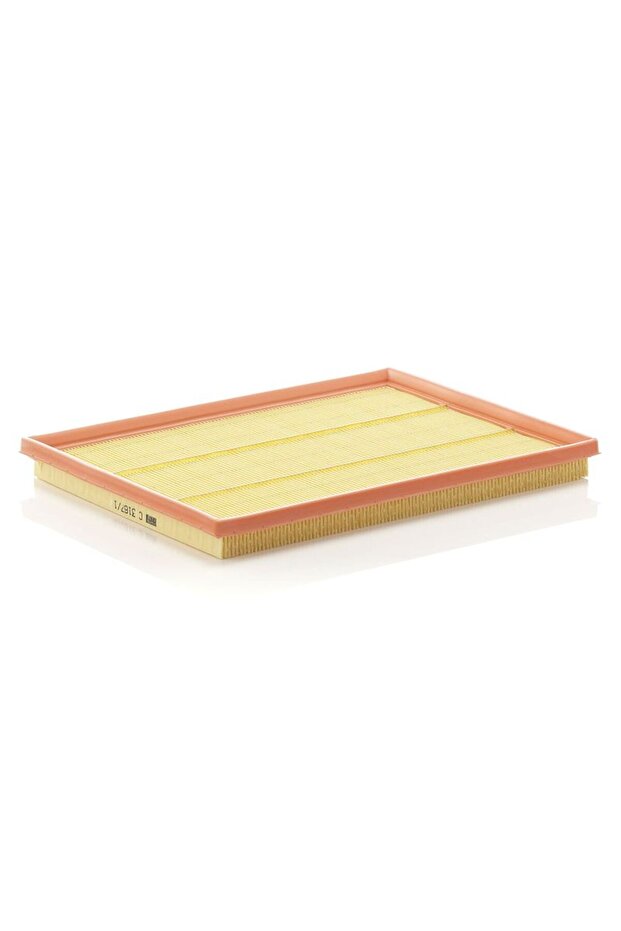 C 3167/1 Air Filter 835605