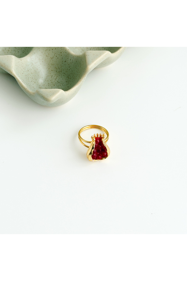 Pomeg Red Steel Ring / Steel Ring