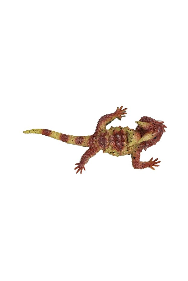 Stretch Kırmızı Kertenkele - 3