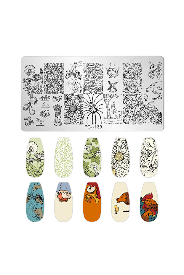 FG-139 FRUIT LEMON TEMPLATES Flower Stripe Design Stamping Plate Strawberry Lady Face Nail Stamp Tem