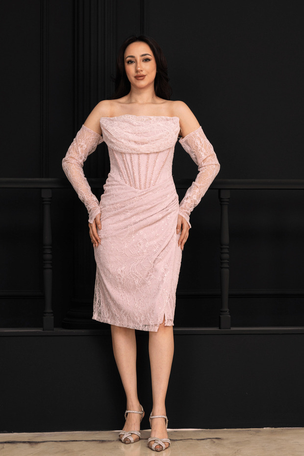 Beaded Detailed Lace Pencil Dress - Powder