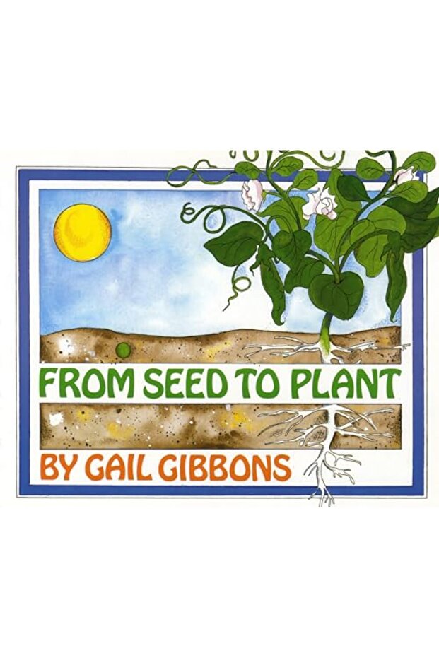 From Seed to Plant