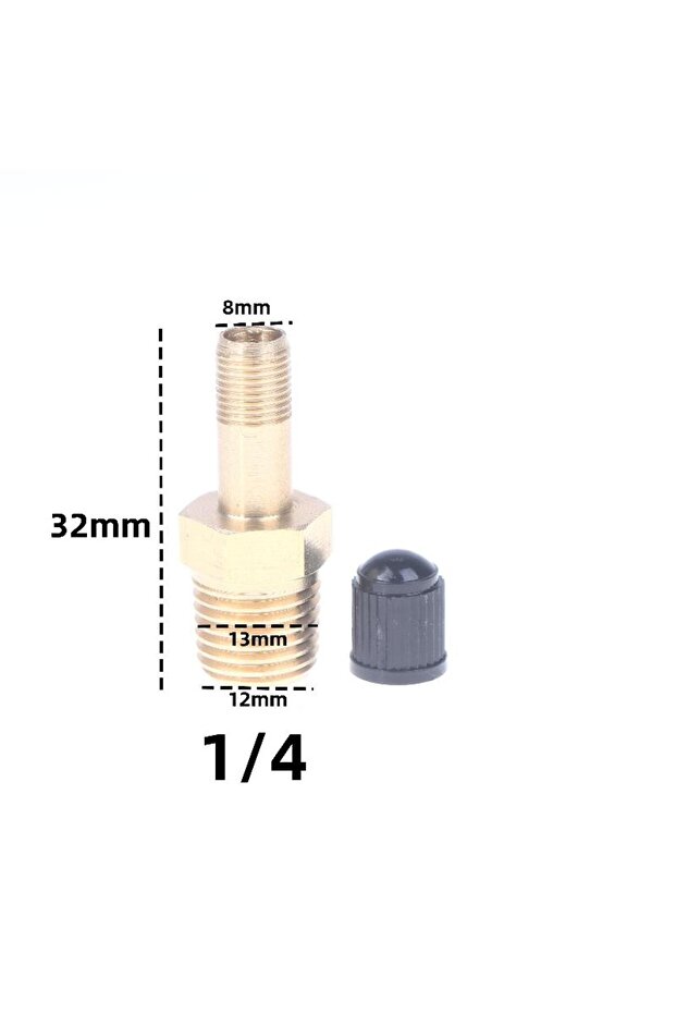 1-4NPT Single Unit Anti-Wear Schrader Valve 1/4 NPT 1/8 NPT M10 for Compressed Air Tanks, Auto Tire