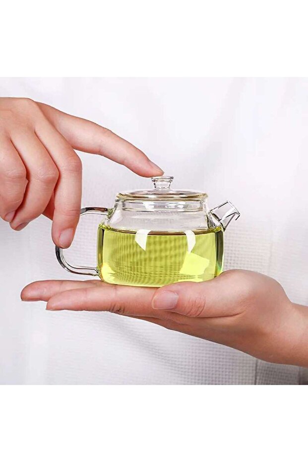 Clear Small Capacity Transparent Glass Teapot With Filter Heat-Resistant Flower Tea Kettle Household