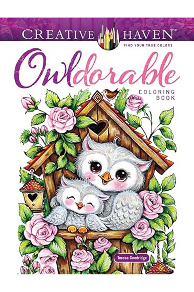 Creative Haven Owldorable Coloring Book