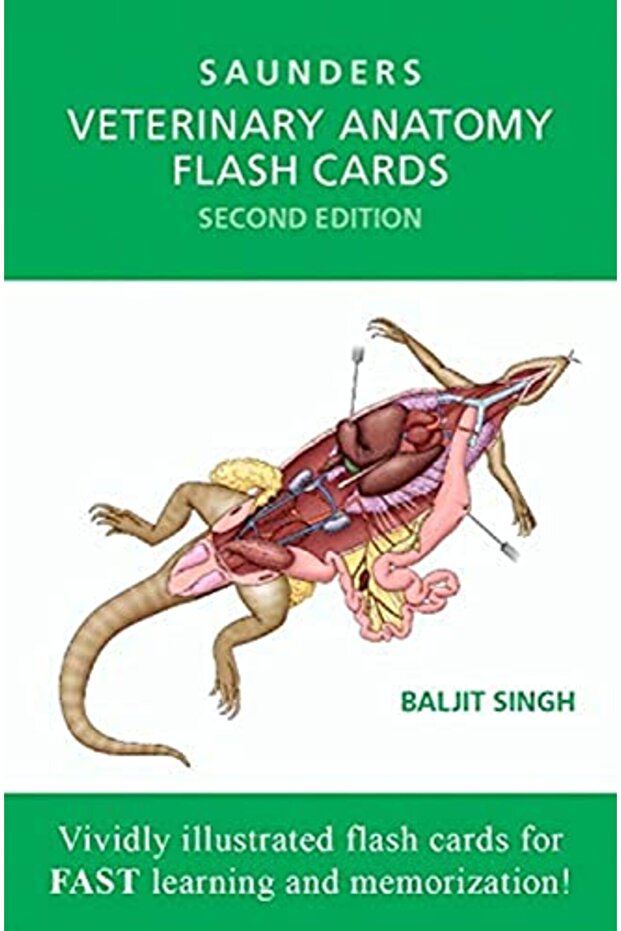 Veterinary Anatomy Flash Cards