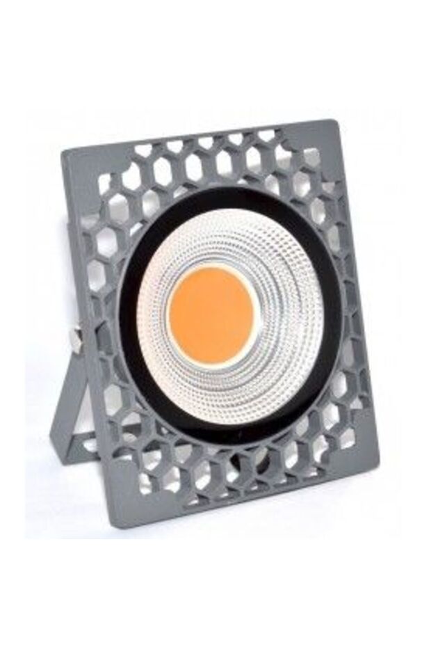 Red LED COB Projector 50W,