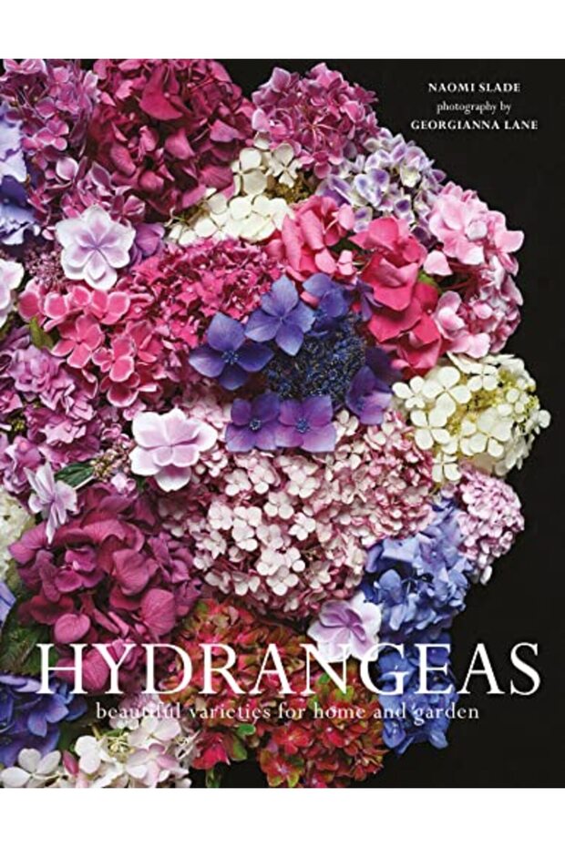 Hydrangeas: Beautiful varieties for home and garden